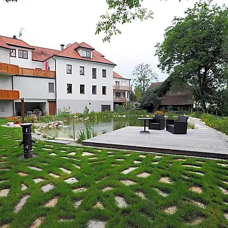 Geier Bad Schönau