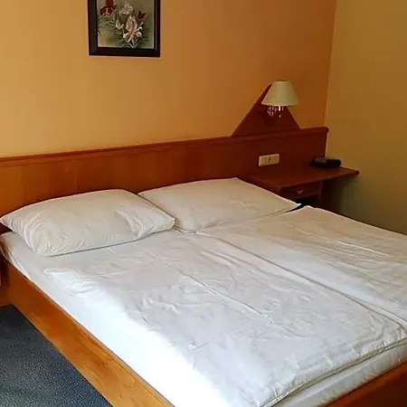 Geier Hotel 3*