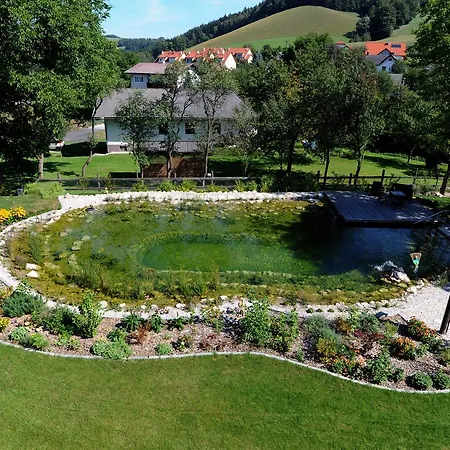 Geier Otel Bad Schönau